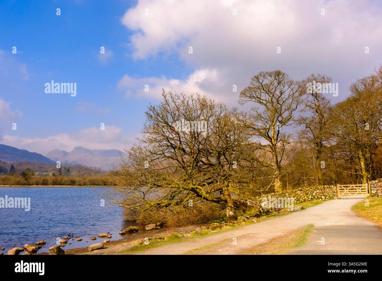 View to Langdale Pikes across Elterwater Lake from Cumbria Way in Lake District National Park. Elterwater, Ambleside, Cumbria, England, UK, Britain Stock Photo