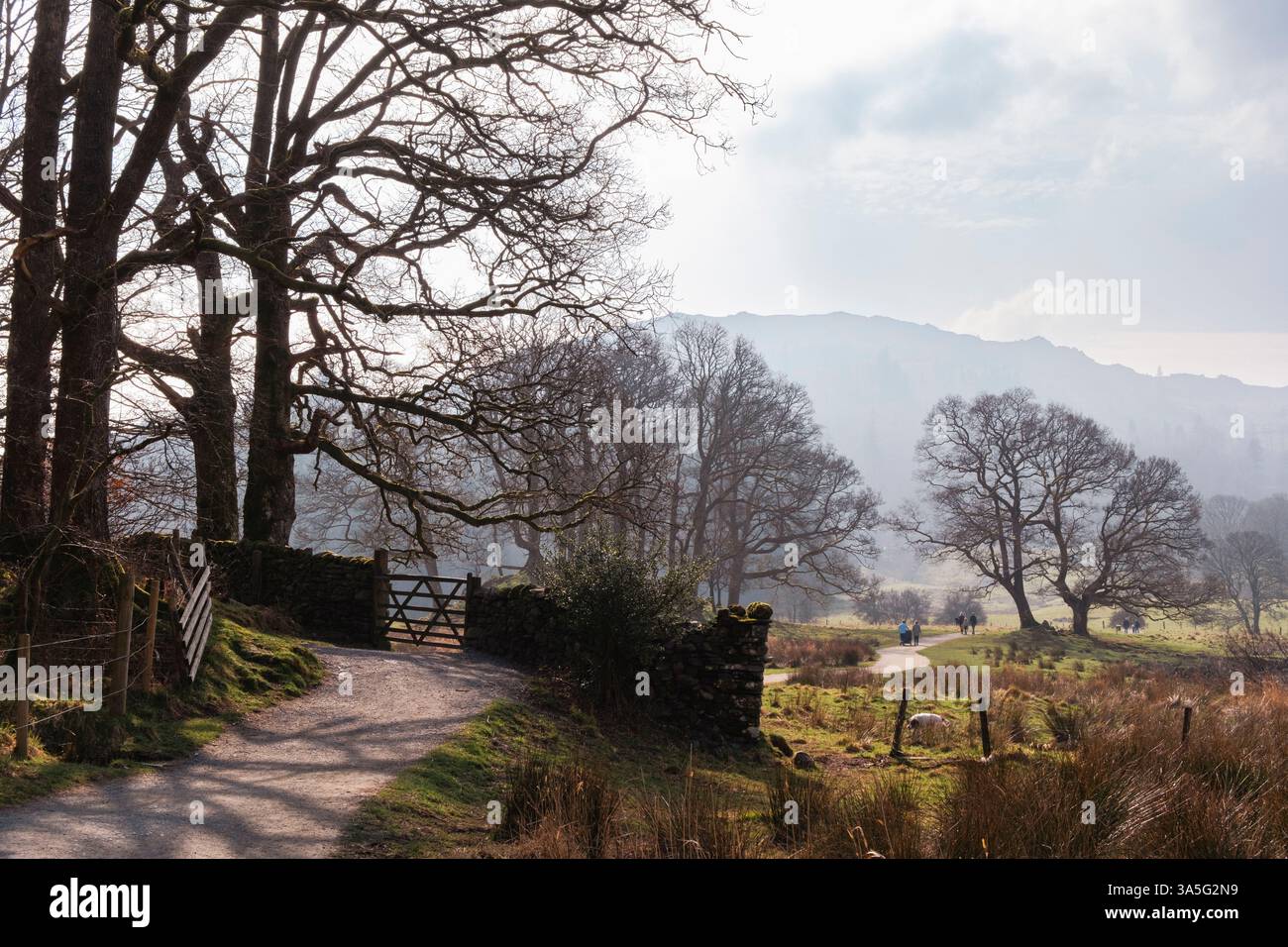 The Cumbria Way path and gate in Langdale Valley in Lake District National Park. Elterwater, Ambleside, Cumbria, England, UK, Britain Stock Photo