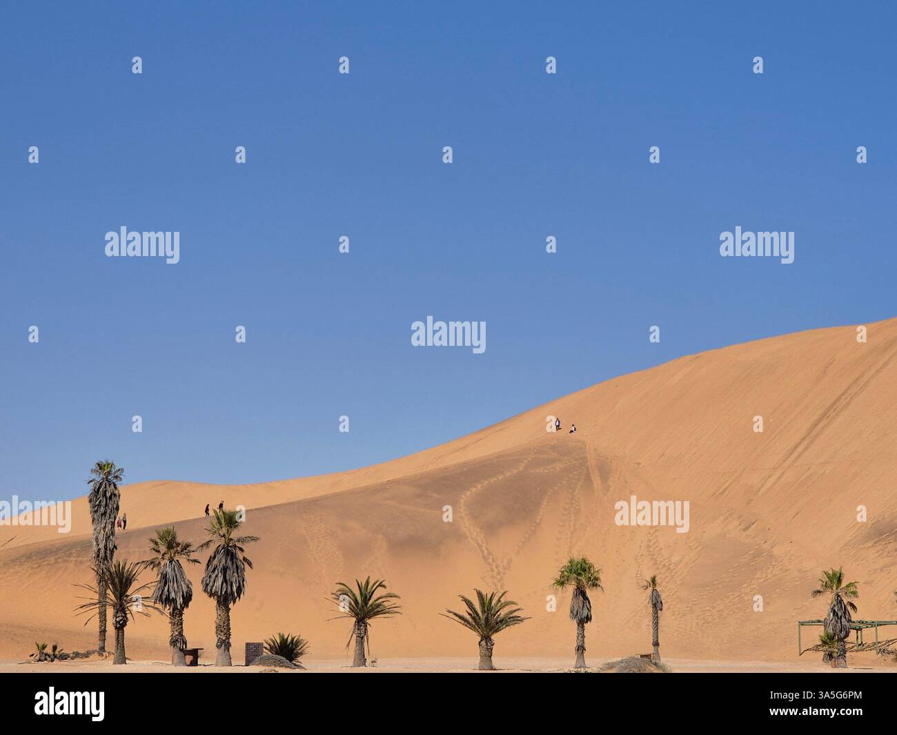 Dune 7 in Namibia - Smartphone Captured Stock Image