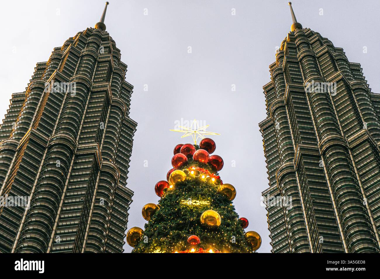 Kuala Lumpur, Malaysia: Festive Christmas tree between the iconic ...