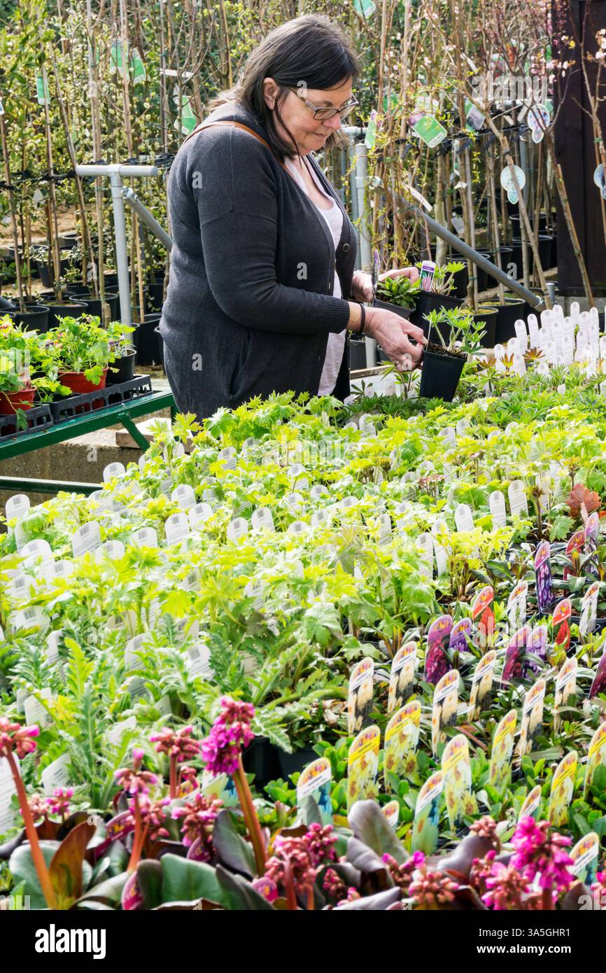 Woman choosing plants at a garden centre. Stock Photo
