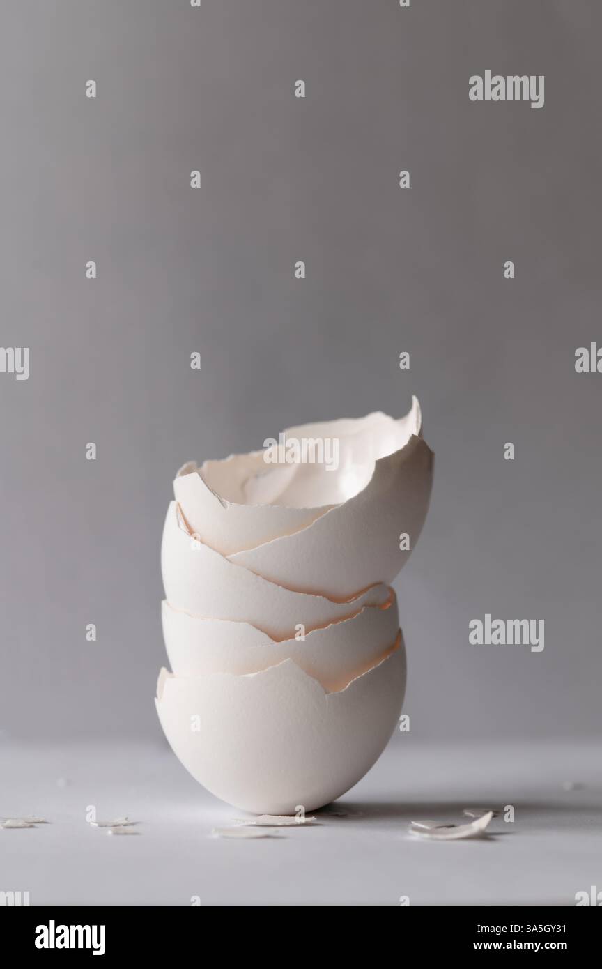 Stack of white eggshells with broken pieces in foreground on gray background with copy space above, vertical Stock Photo