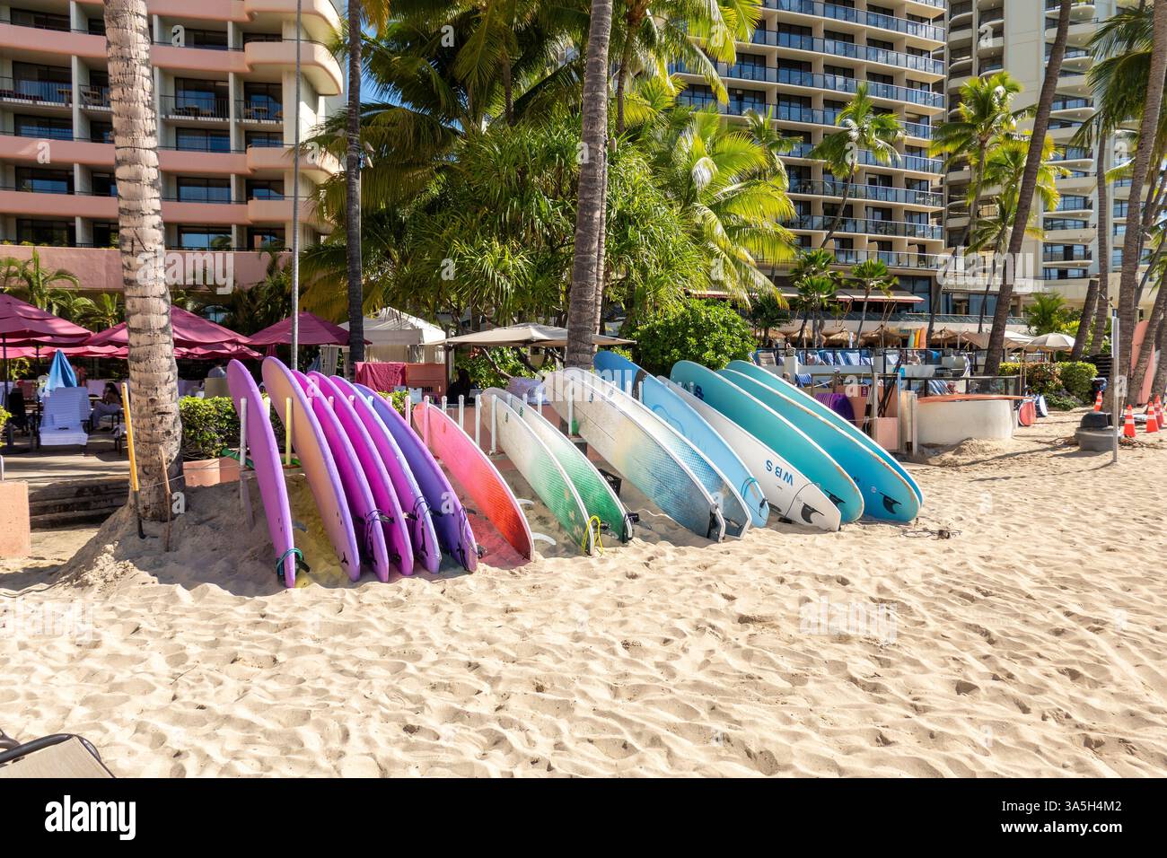 Surfboards palm trees on hi-res stock photography and images - Alamy