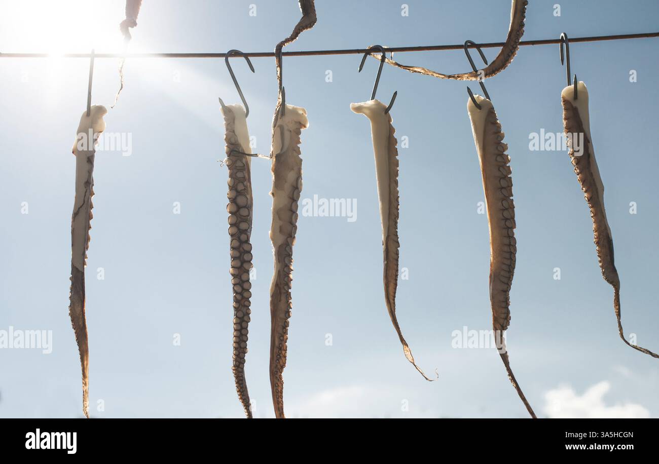 Octopus on rope on sky background. Greece, Gythio Stock Photo - Alamy