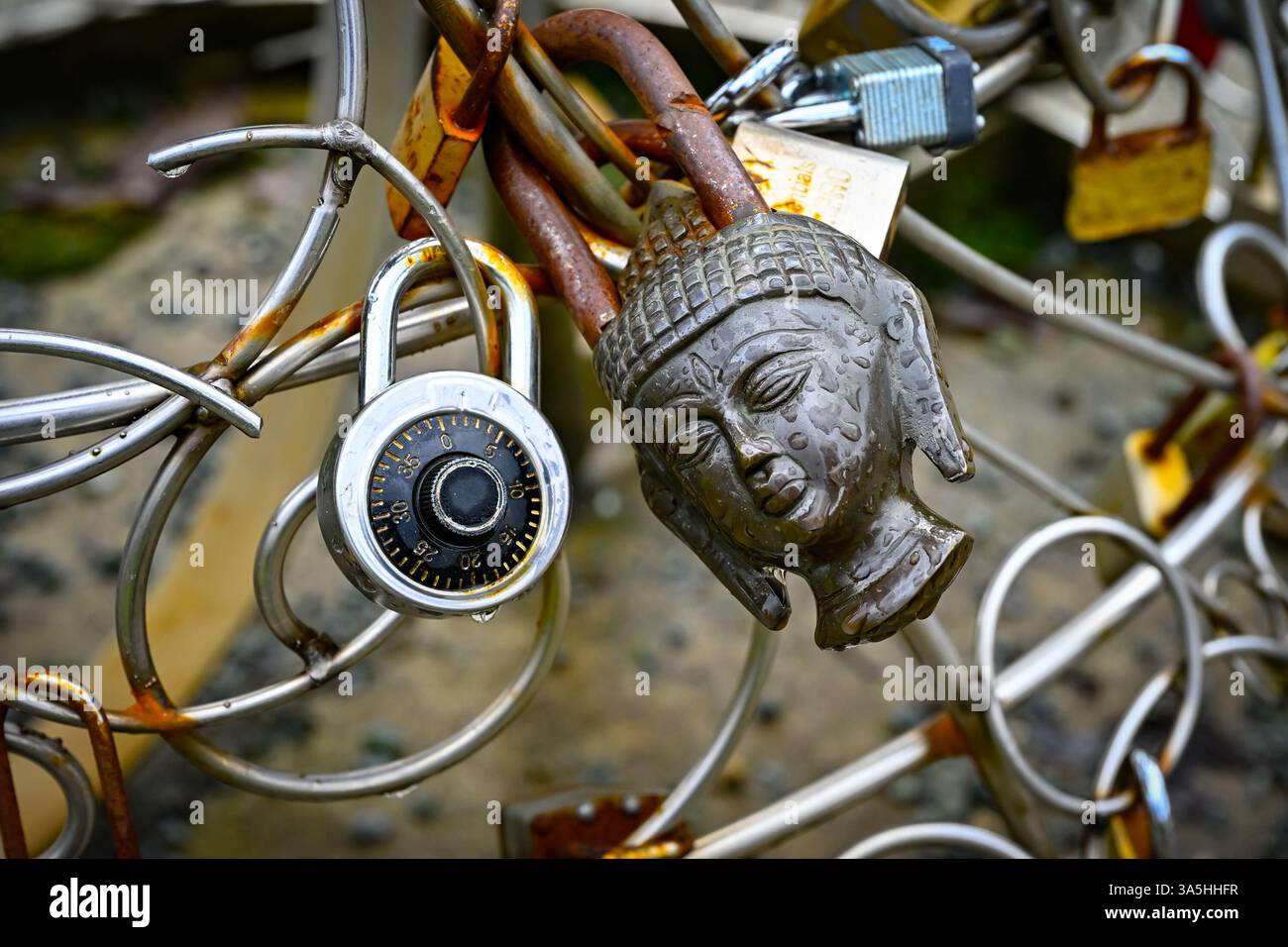 Buddha and other Lovers locks attached to wire sculpture Stock Photo