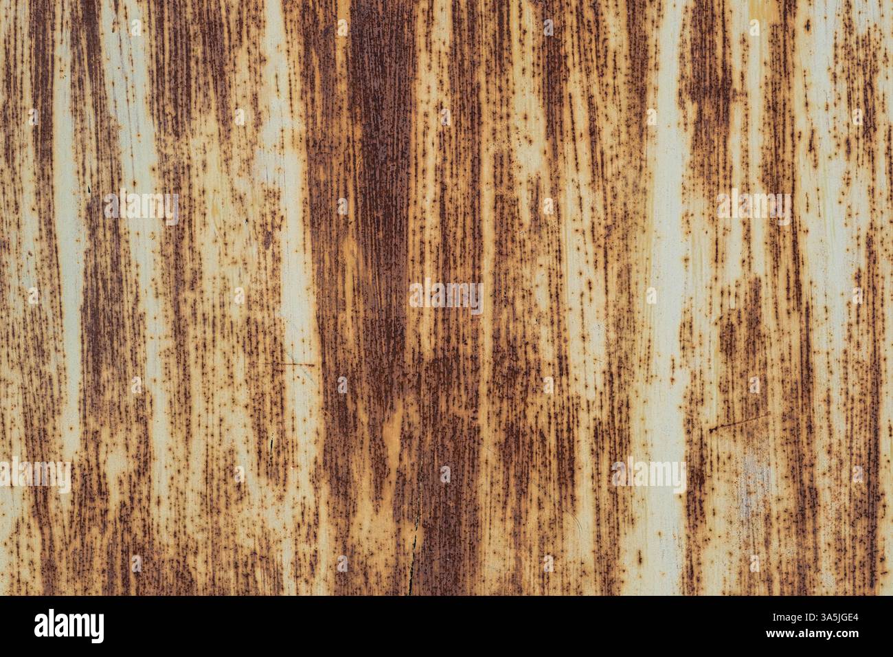 Background with rusty iron texture. Texture sheet painted metal Stock Photo