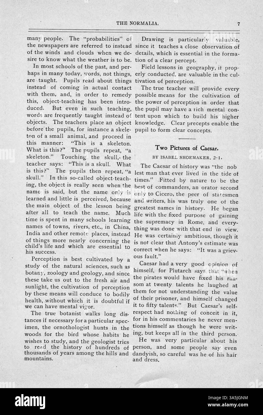 Communal life among insects hi-res stock photography and images - Alamy