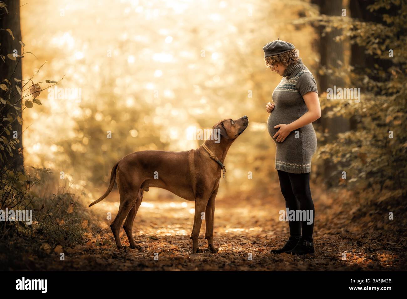 pregnant woman and Rhodesian Ridgeback Stock Photo - Alamy