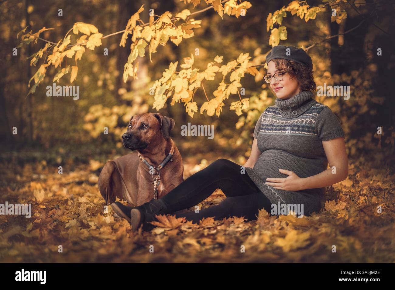 pregnant woman and Rhodesian Ridgeback Stock Photo - Alamy