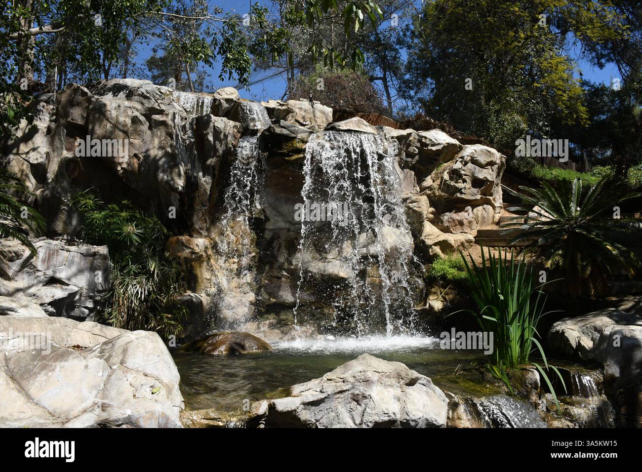 Photo inspiration: Cockatoo Aviary With Waterfall Reference: Los Angeles California Usa 19Th March 2025 Waterfalls In Aviary