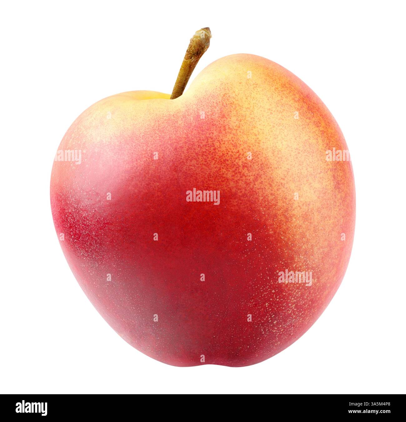 Nectarine peach isolated on white background Stock Photo