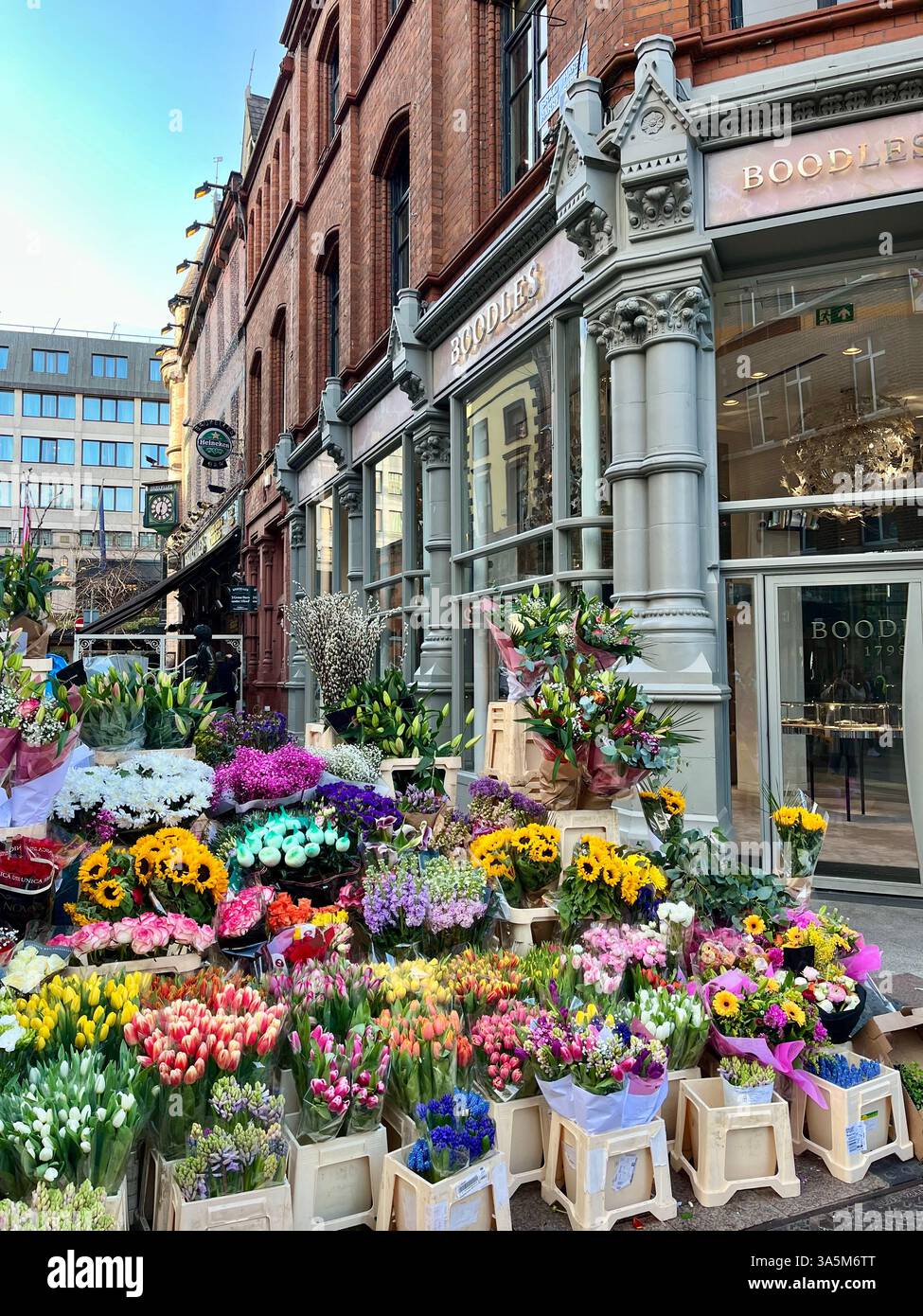 A charming flower stall in front of a historic brick building in Dublin, Ireland. - Smartphone Captured Stock Image