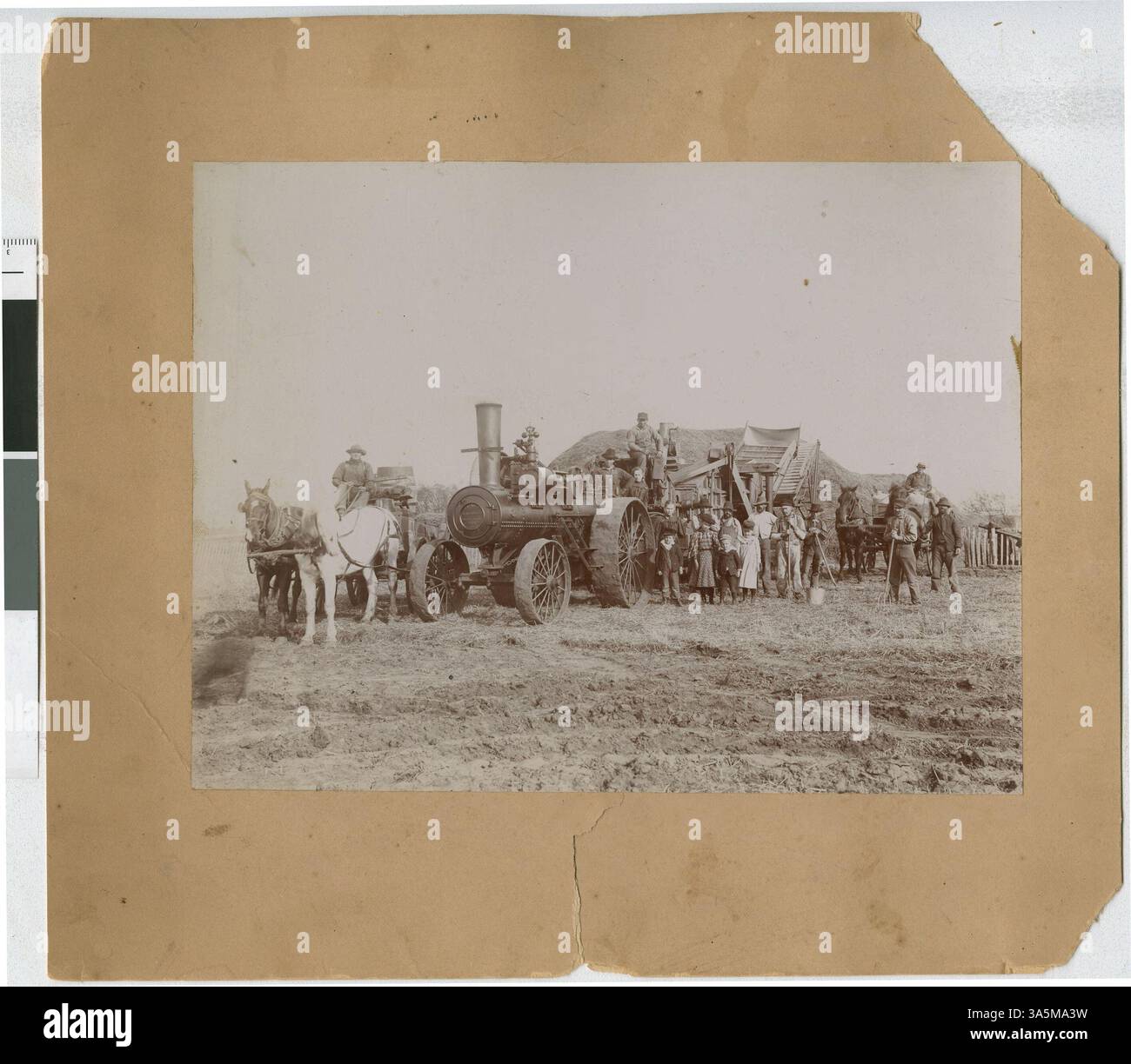 Early 1900s USA photo farm machinery threshing crops Early 1900s USA photo farm machinery threshing crops