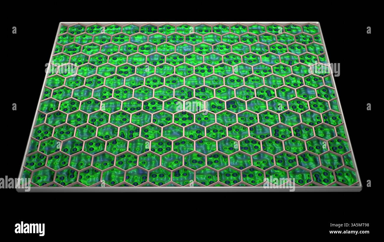 Biophotovoltaics BPV. Photomicrobial fuel cells. Biological solar ...