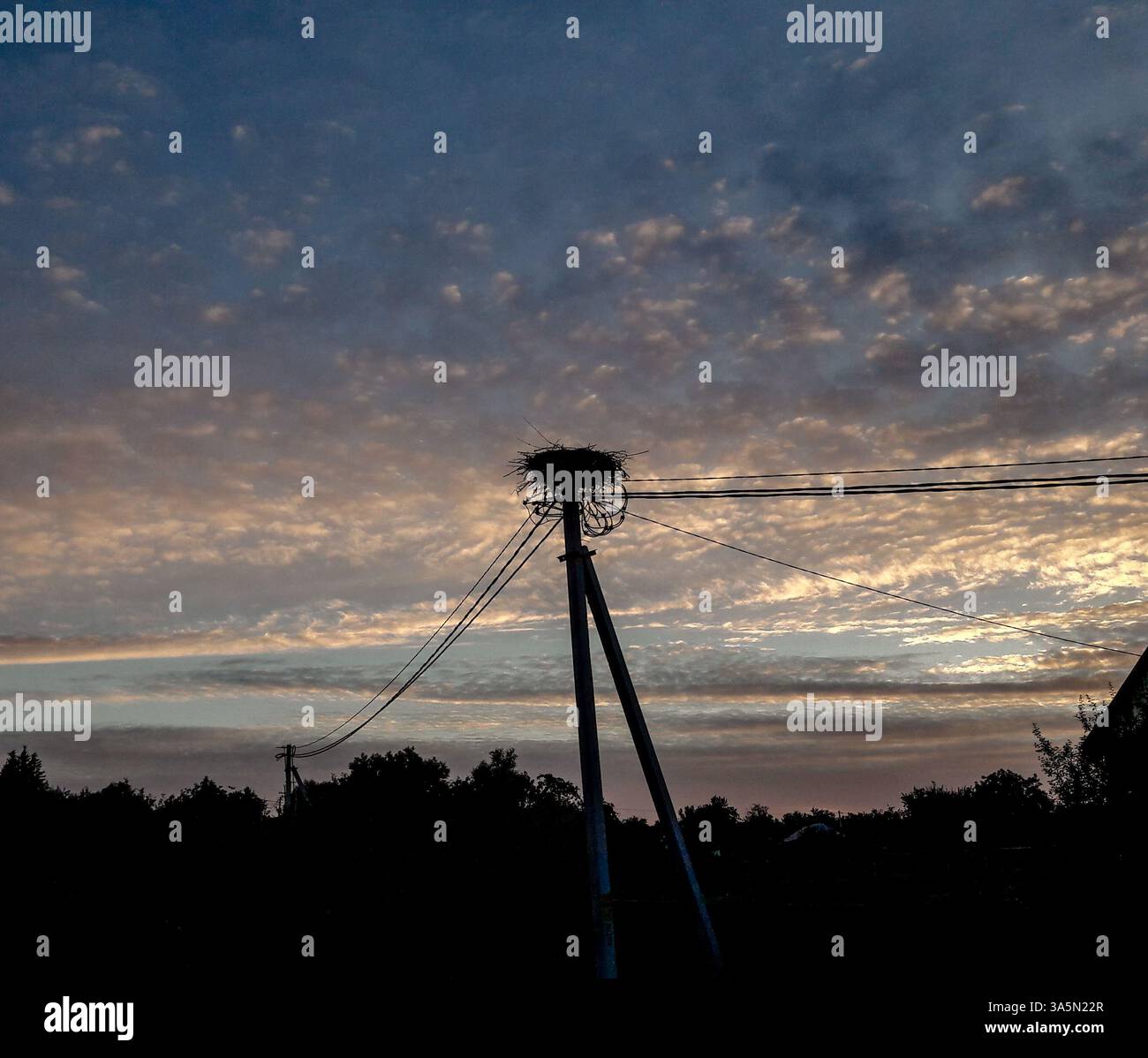 Dramatic sky stork nest hi res stock photography and images Alamy Dramatic sky stork nest hi res stock photography and images Alamy