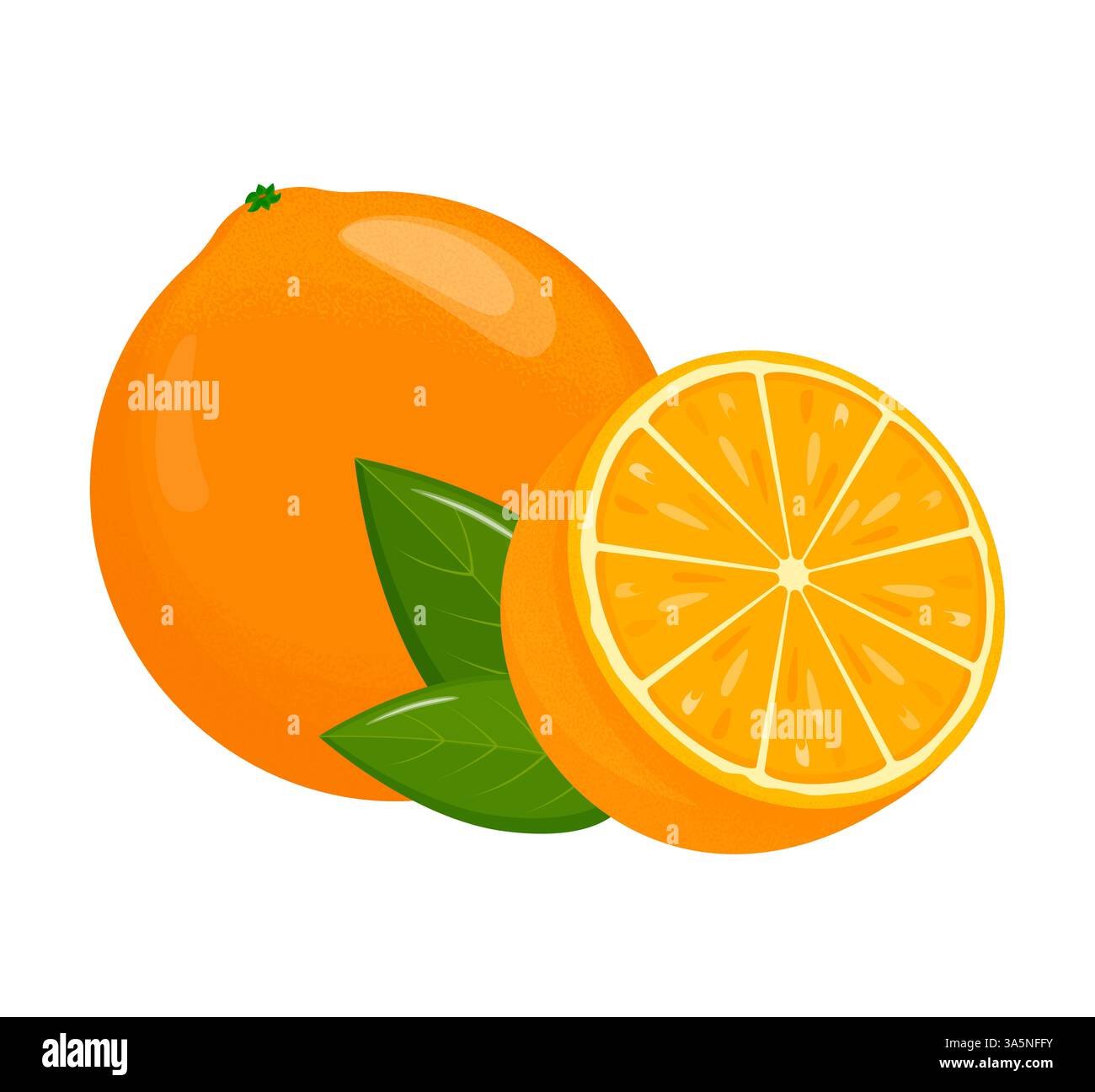 Orange fruit. Oranges that are segmented on a white background, juicy seasonal fruits, citrus. Vector illustration. Stock Vector