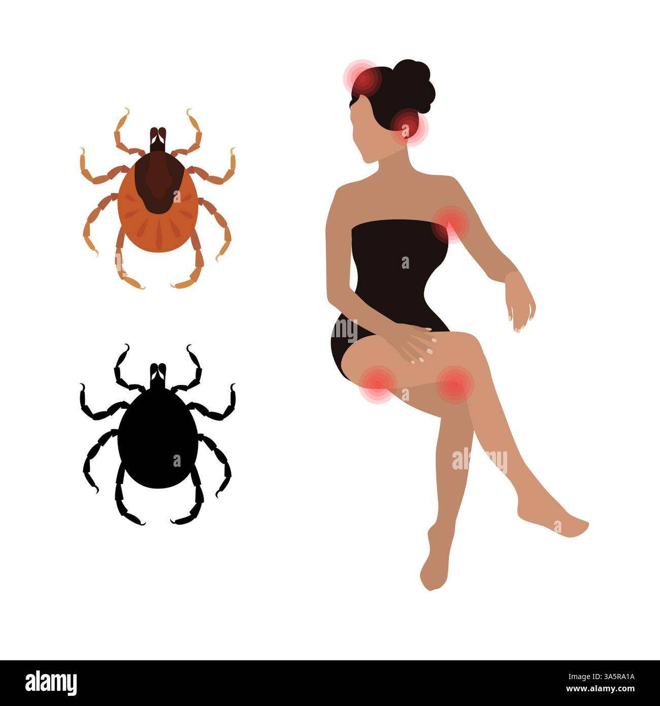 Where ticks bite humans. Mites biting. Stock Vector