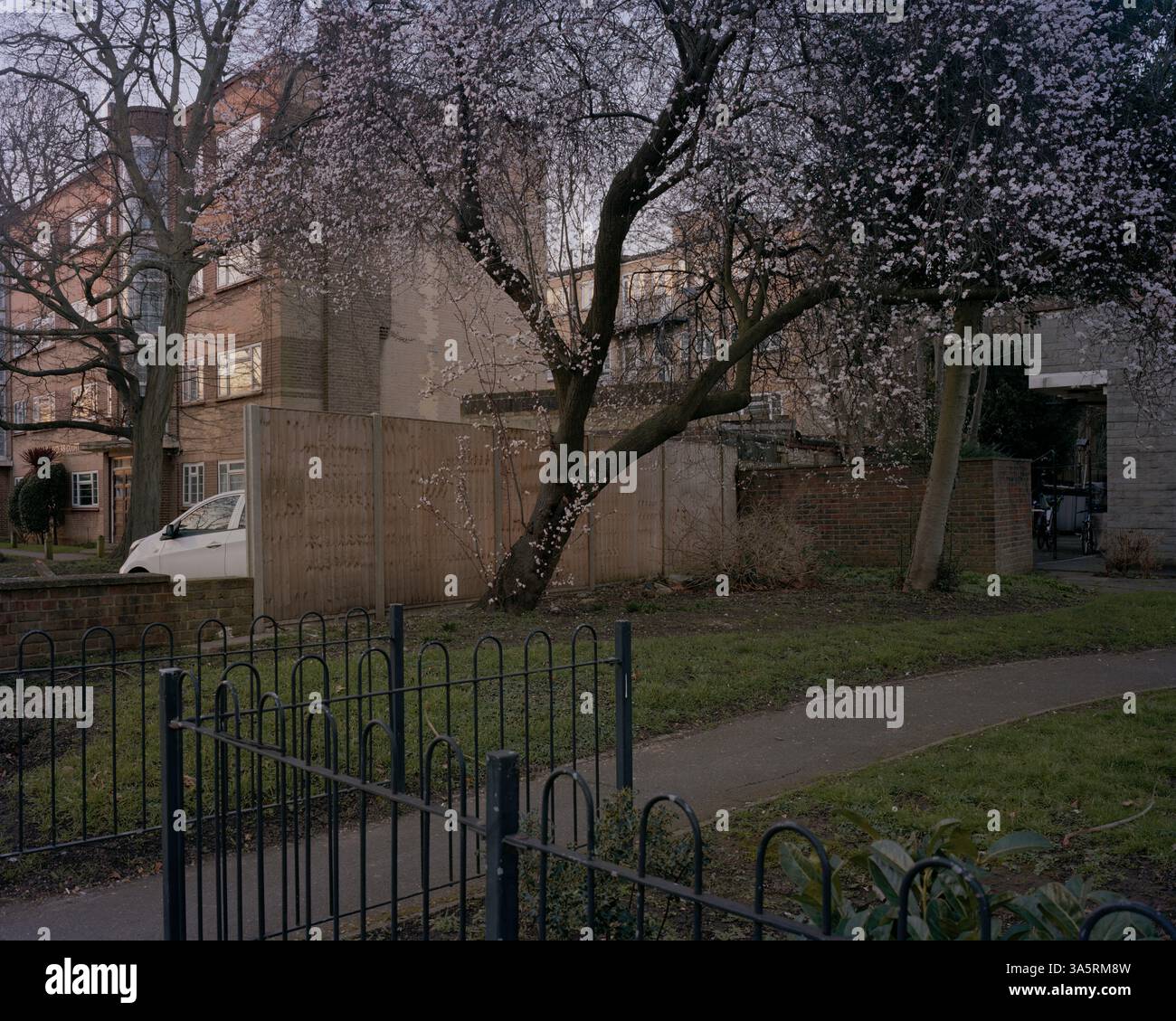 Copyright 2025 John Angerson Sarah Everard was kidnapped on the evening of March 3, 2021, on Poynders Road in Clapham, South London. The road is a bus Stock Photo