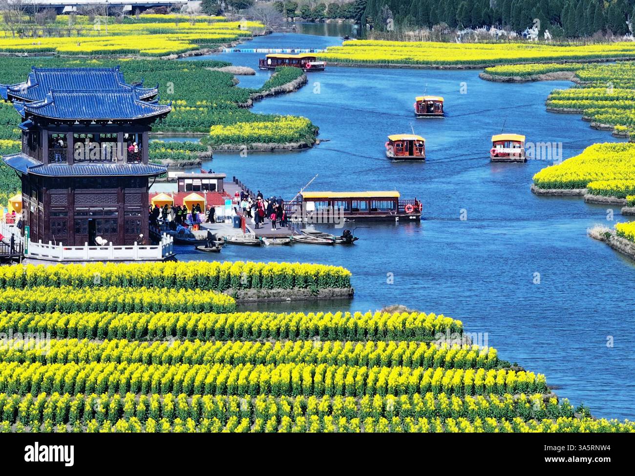 Aerial phot shows the Qianduo Cole Flower Scenic Area in Xinghua City ...