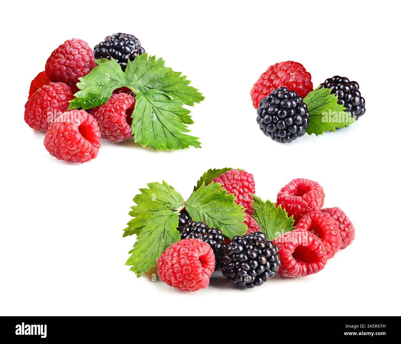 Mer Raspberry Blackberry заголовок raspberries blackberries on Cut Out Stock Images & Pictures ...