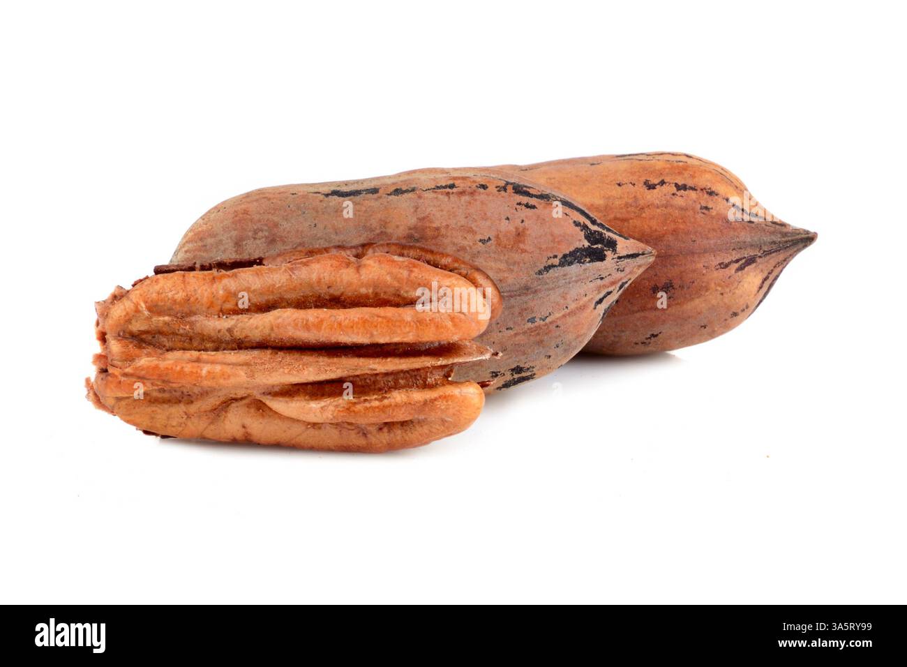 Three pecan nuts isolated on a white background Stock Photo