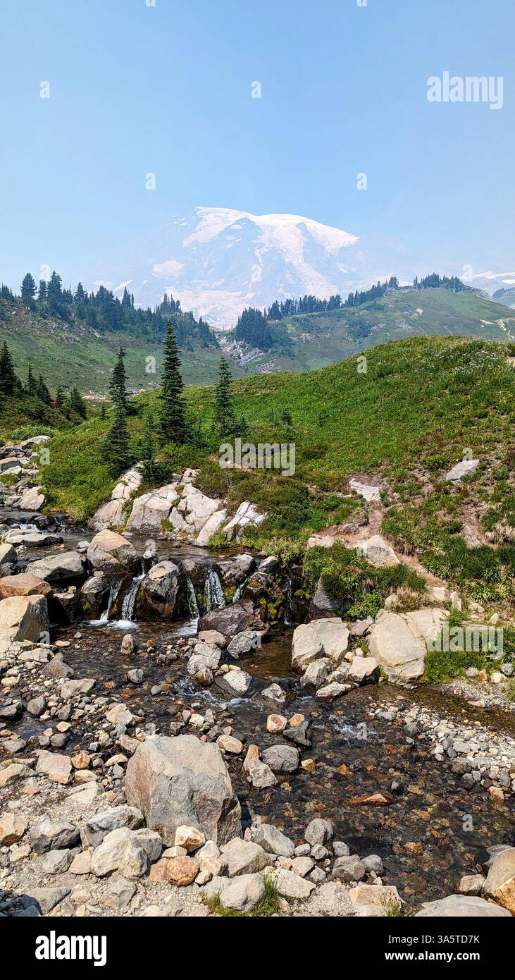Mount rainer national park hi-res stock photography and images - Alamy