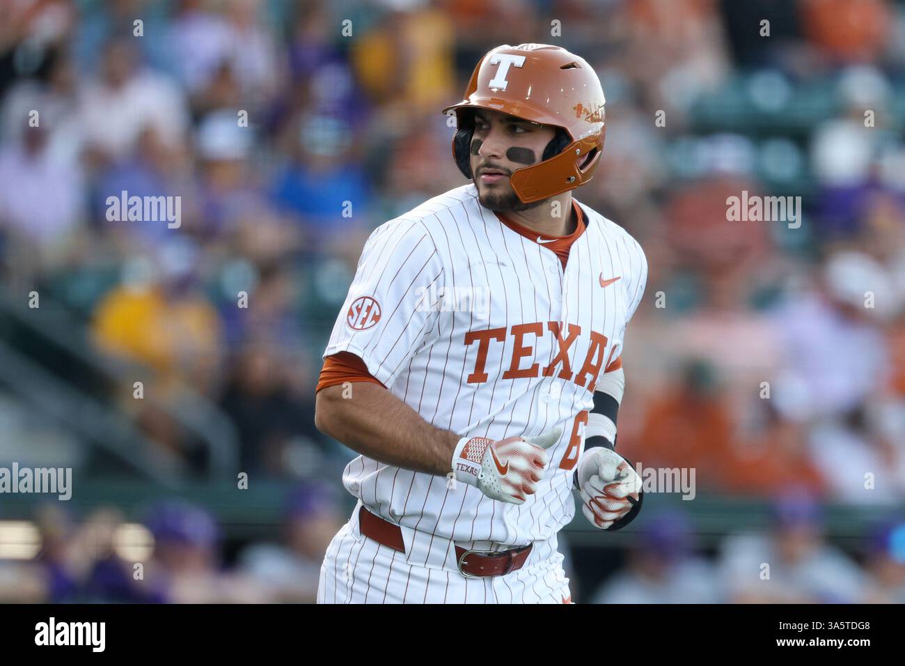 AUSTIN, TX - MARCH 22: Texas catcher Rylan Galvan (6) looks to the ...