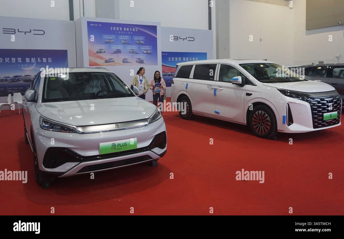 HANGZHOU, CHINA - MARCH 24, 2025 - The BYD stand at an exhibition in ...