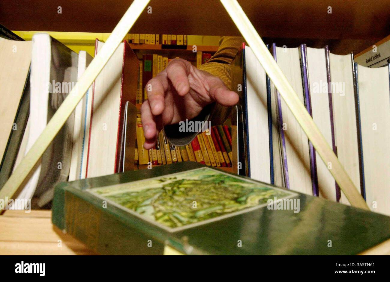 reading books or texts and literature for studying, learning or ...