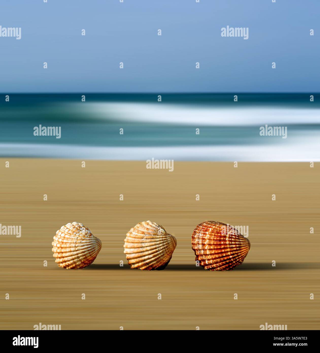 Shell Movement Three generational family hi-res stock photography and images - Alamy