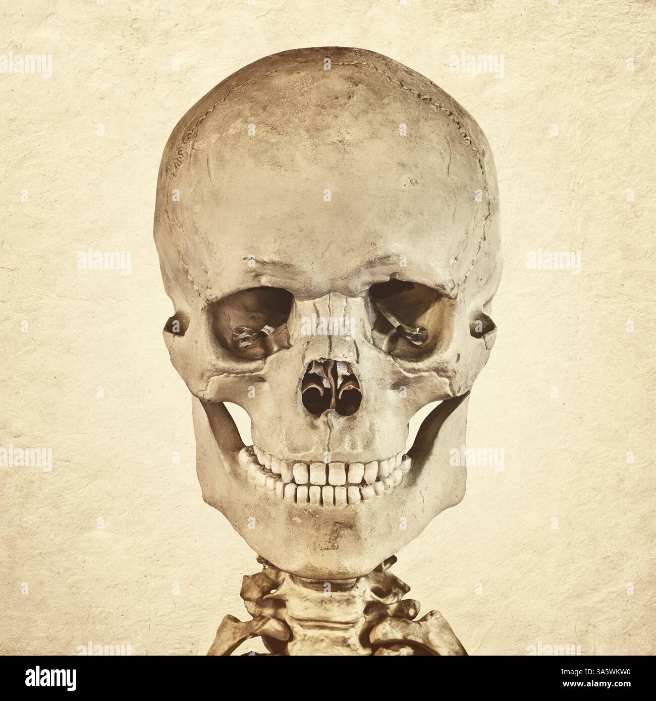 Laughing skull hi-res stock photography and images - Alamy