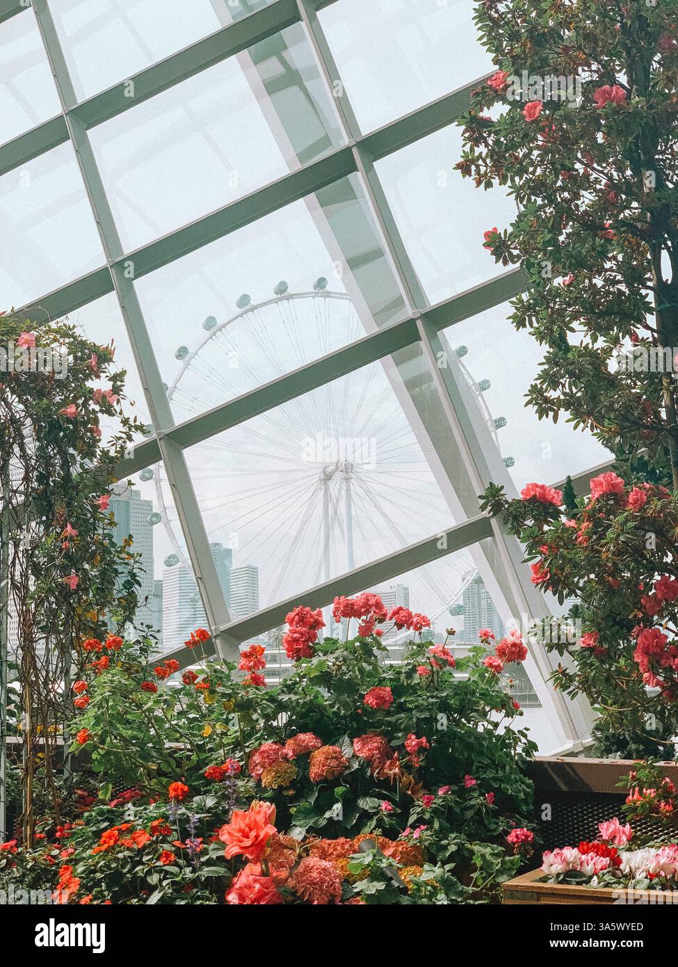 Inside Cloud Forest at Gardens by the Bay – A Tropical Indoor Wonderland - Smartphone Captured Stock Image