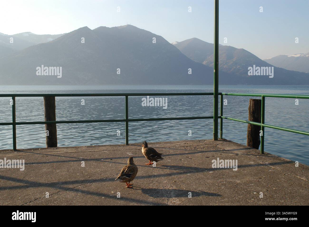 Macchina Di Finitura Per Lucidatura E Sbavatura Produttore - Inovatec