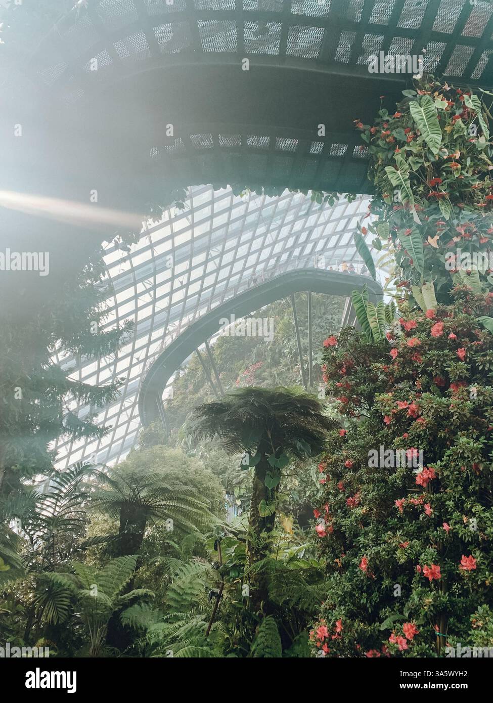 Inside Cloud Forest at Gardens by the Bay – A Tropical Indoor Wonderland - Smartphone Captured Stock Image