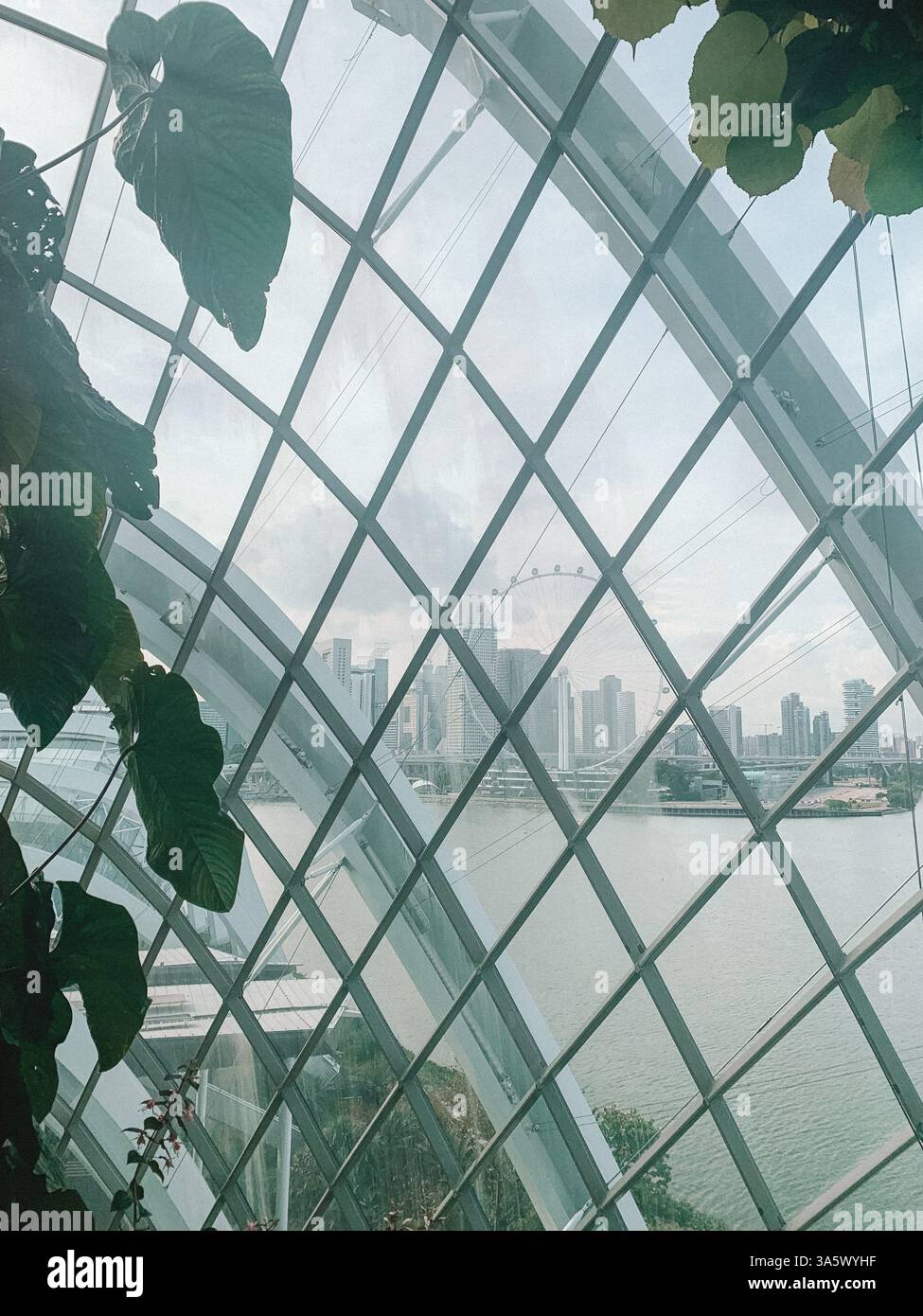 Inside Cloud Forest at Gardens by the Bay – A Tropical Indoor Wonderland - Smartphone Captured Stock Image