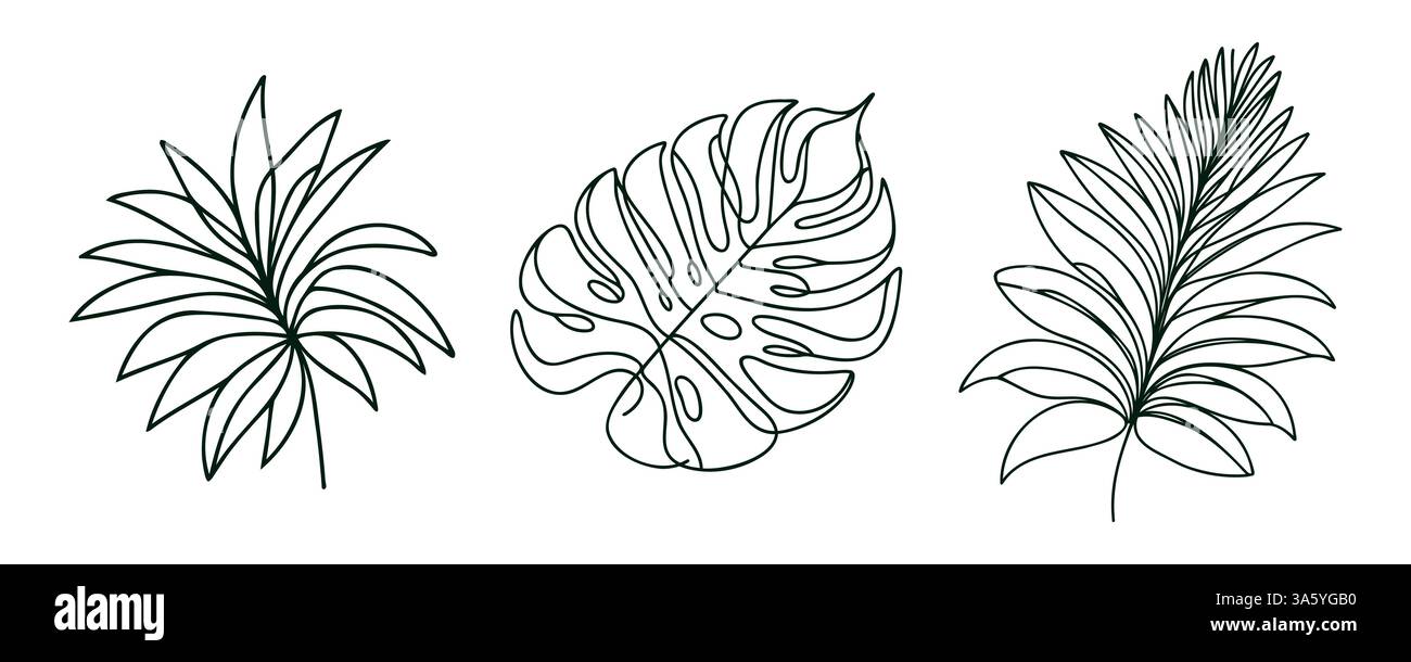 Tropical leaves in one line drawing style, black and white tropical ...