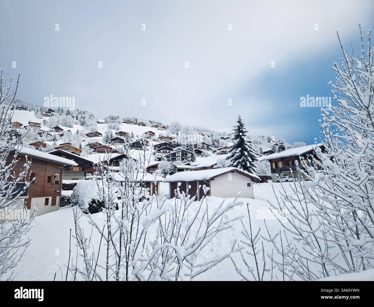 Picturesque winter scene of La Clusaz village with snow covered houses and trees. Mountain landscape blanketed in fresh snow, creating a serene and tr - Smartphone Captured Stock Image