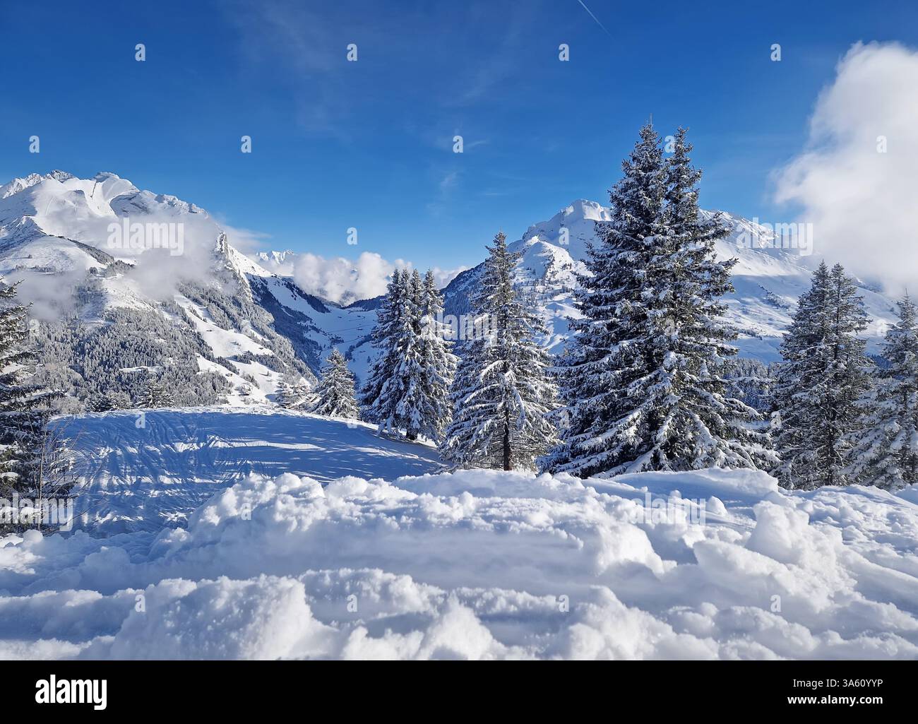 Snowy landscape with evergreen trees and snow covered Aravis mountains ridge in the background under a clear blue sky. Picturesque scene showcasing th - Smartphone Captured Stock Image