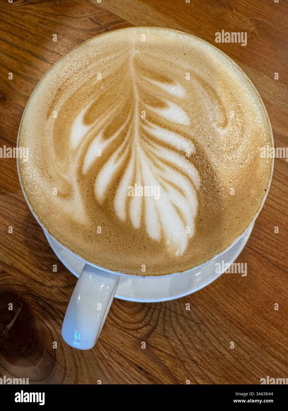 Cappuccino coffee with a leaf design - Smartphone Captured Stock Image