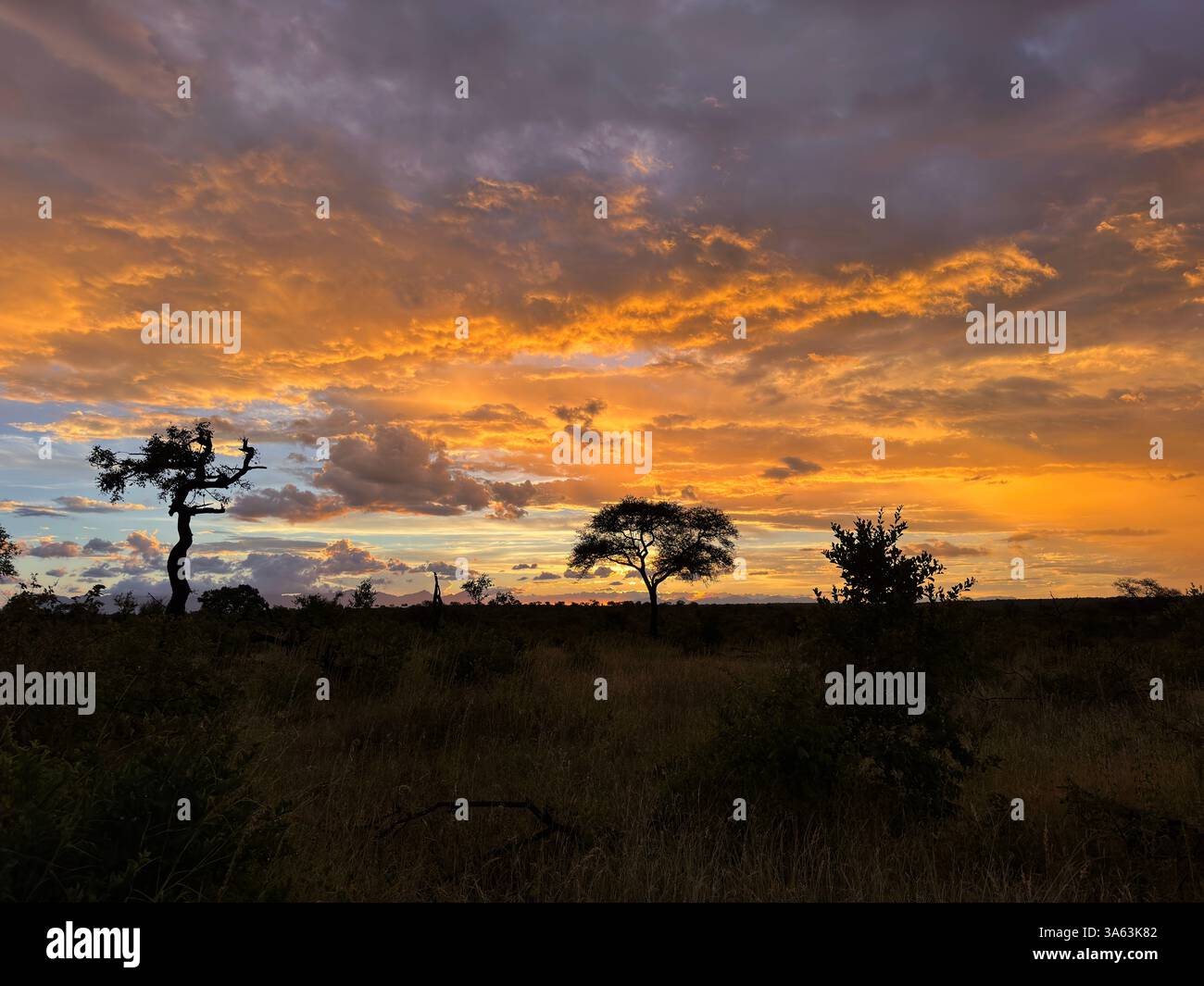 Dramatic sunset in the Balule Game Reserve with the Drakensberg mountains in the background - Smartphone Captured Stock Image