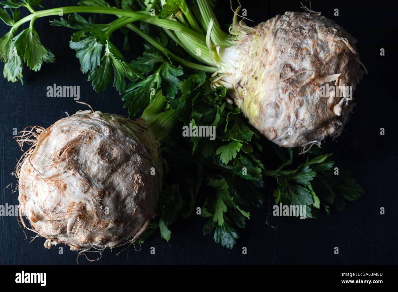 Fresh celery root with green leaves on dark background. Stock Photo