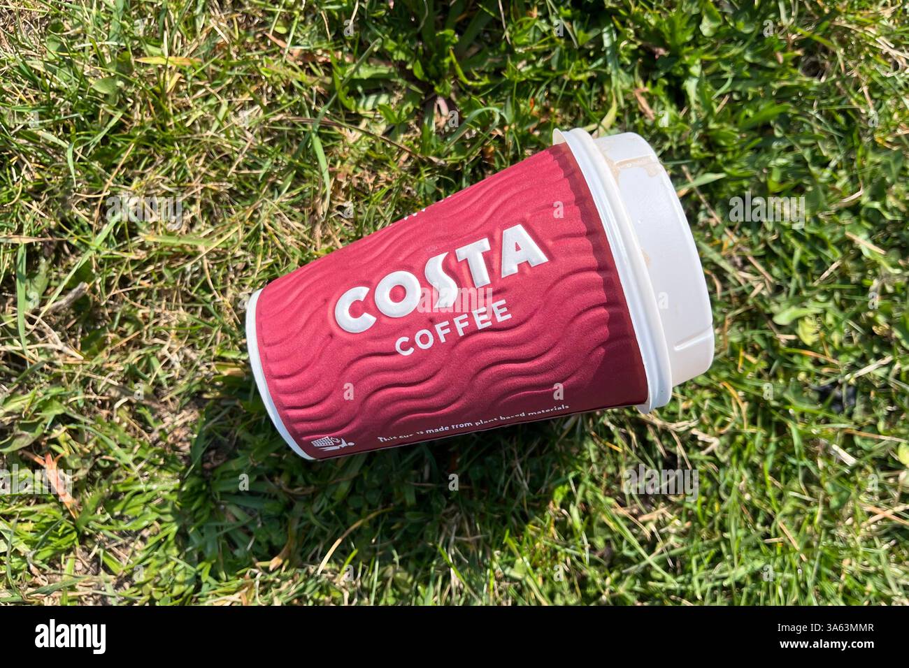 Costa Coffee Takeaway Cup lying on a patch of grass. 24th March 2025. - Smartphone Captured Stock Image