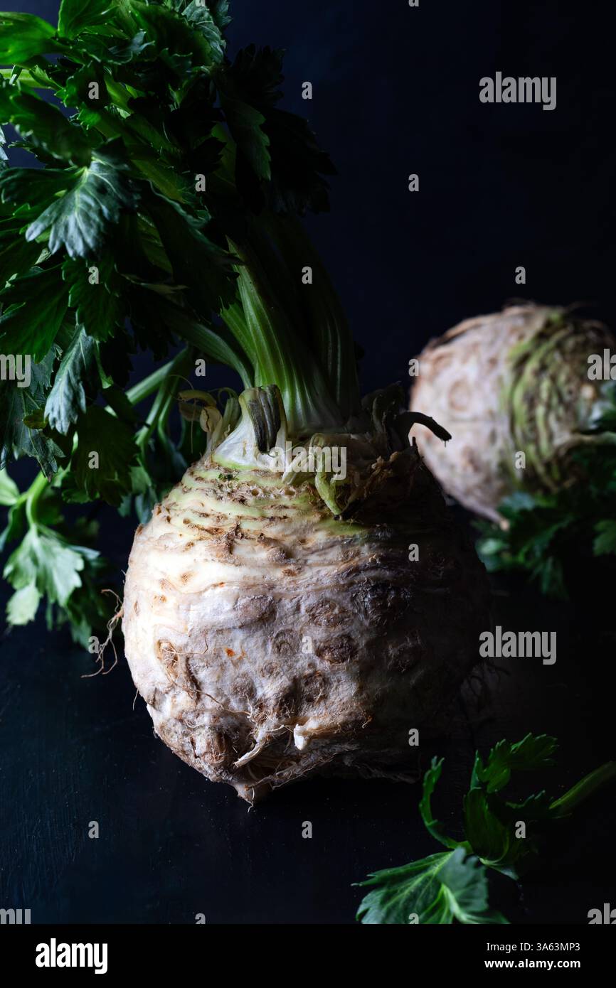 Fresh celery root with green leaves on dark background. Stock Photo