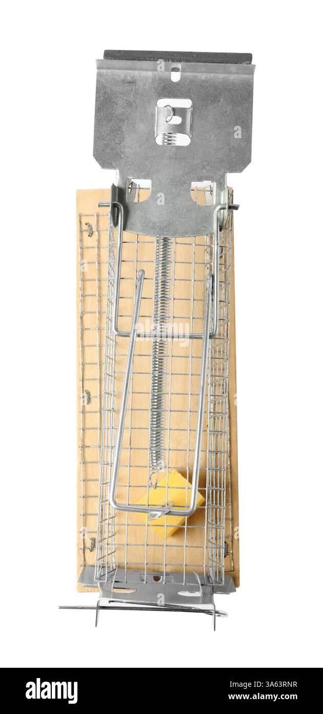 Mouse trap with cheese isolated on white, top view Stock Photo