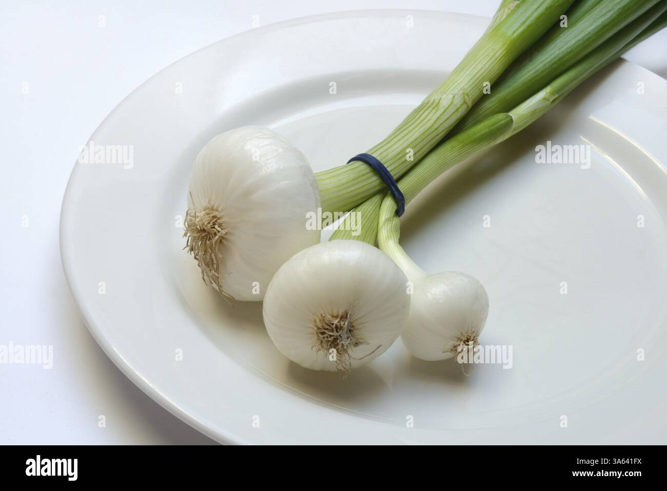 Onion, spring onions on a plate Stock Photo