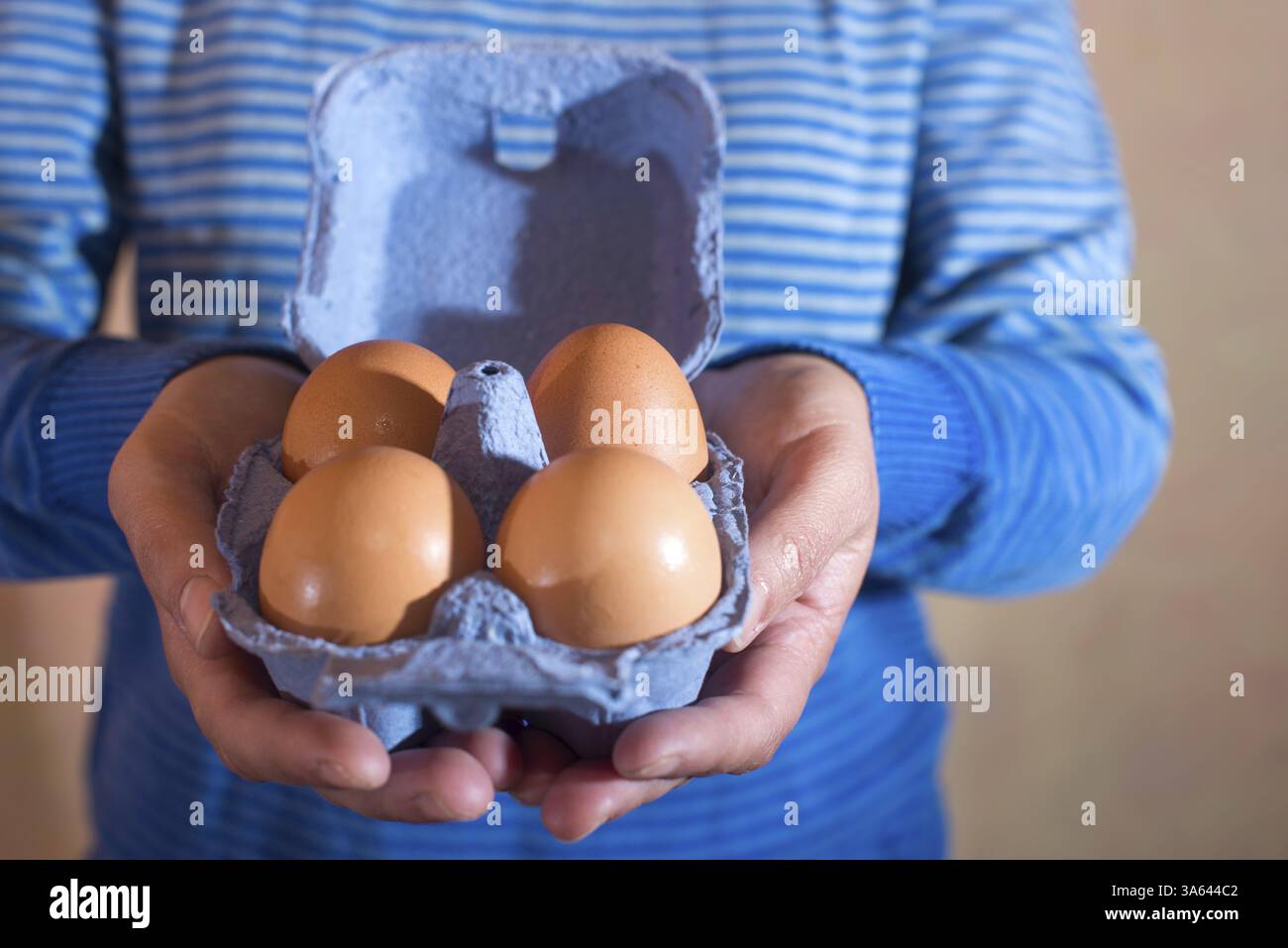 Blue color packing eggs Stock Photo