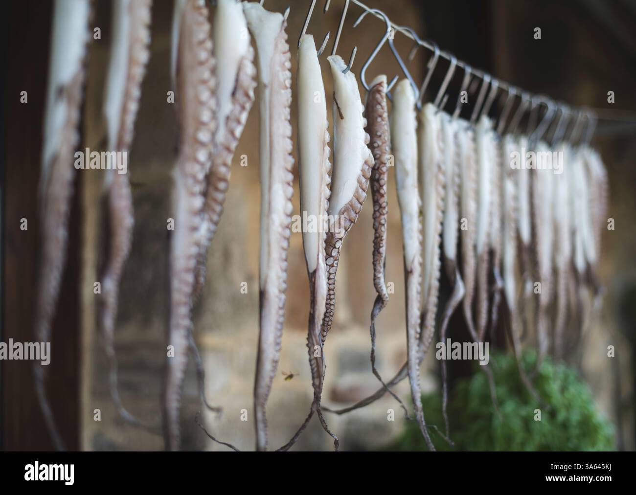 Octopus on rope in restaurant Stock Photo - Alamy