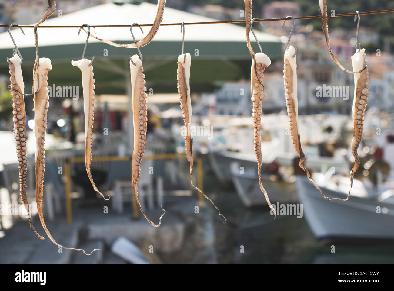 Octopus sea ship hi-res stock photography and images - Alamy