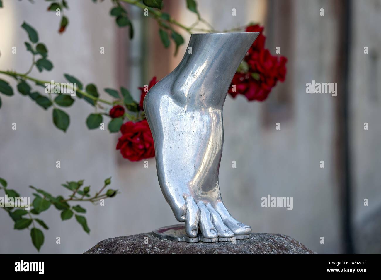 Foot of a woman on tiptoe, silver-coloured sculpture, shiny metallic, red roses in the background, Steinbach, Michelstadt, Odenwald, Hesse, Germany, E Stock Photo