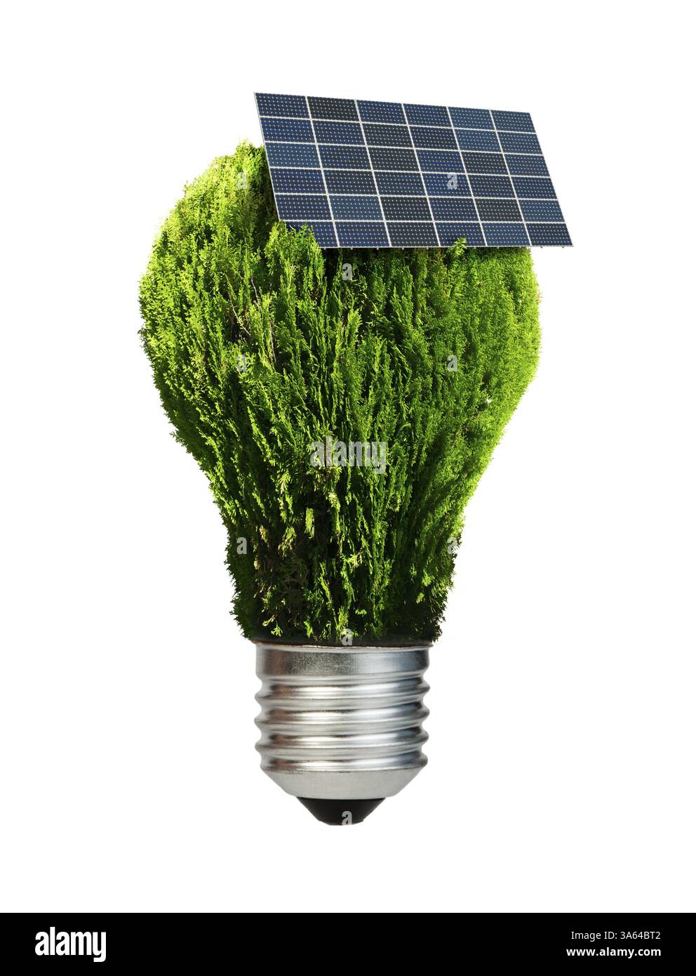 Plants ecology hi-res stock photography and images - Alamy
